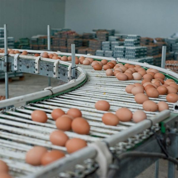 Republic Provides a $4.5 Million ABL Facility in Partnership with Equity Sponsor